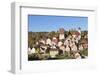 Altensteig, Black Forest, Baden Wurttemberg, Germany, Europe-Markus Lange-Framed Photographic Print