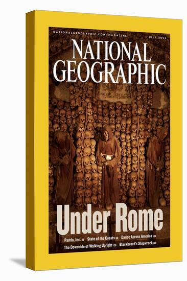 Alternate Cover of the July, 2006 National Geographic Magazine-Stephen Alvarez-Stretched Canvas