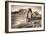 Alternate View at Delicate Arch (Sepia Toned), Utah-Vincent James-Framed Photographic Print