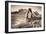 Alternate View at Delicate Arch (Sepia Toned), Utah-Vincent James-Framed Photographic Print