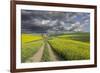 Alternating patterns of yellow canola and green wheat, Palouse region of Eastern Washington State.-Adam Jones-Framed Photographic Print