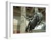 Altes Museum, Berlin-Yury Zap-Framed Photographic Print