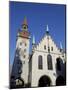 Altes Rathaus (Old Town Hall), Marienplatz, Munich (Munchen), Bavaria (Bayern), Germany-Gary Cook-Mounted Photographic Print