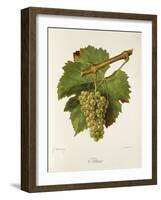 Altesse Grape-J. Troncy-Framed Giclee Print