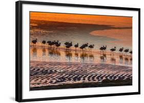 Altiplano, Bolivia, Eduardo Abaroa Andean Fauna National Reserve, Laguna Colorada, flamingos-Art Wolfe-Framed Photographic Print