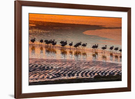 Altiplano, Bolivia, Eduardo Abaroa Andean Fauna National Reserve, Laguna Colorada, flamingos-Art Wolfe-Framed Photographic Print