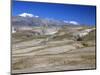 Altiplano Desert Plateau, Near Arequipa, Peru, South America-Tony Waltham-Mounted Photographic Print