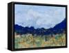 Altiplano II-Jarman Fagalde-Framed Stretched Canvas