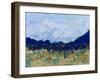 Altiplano II-Jarman Fagalde-Framed Art Print