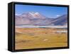 Altiplano, Los Flamencos National Reserve, Atacama Desert, Norte Grande, Chile-Gavin Hellier-Framed Stretched Canvas