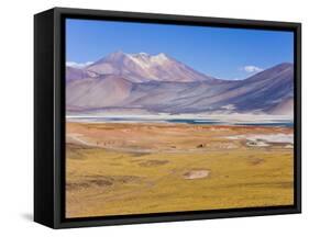 Altiplano, Los Flamencos National Reserve, Atacama Desert, Norte Grande, Chile-Gavin Hellier-Framed Stretched Canvas