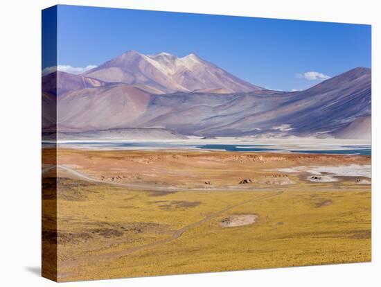 Altiplano, Los Flamencos National Reserve, Atacama Desert, Norte Grande, Chile-Gavin Hellier-Stretched Canvas