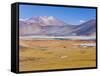 Altiplano, Los Flamencos National Reserve, Atacama Desert, Norte Grande, Chile-Gavin Hellier-Framed Stretched Canvas