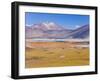 Altiplano, Los Flamencos National Reserve, Atacama Desert, Norte Grande, Chile-Gavin Hellier-Framed Premium Photographic Print