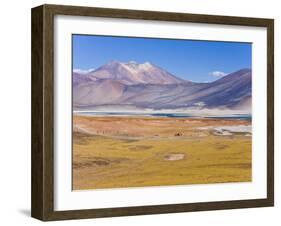 Altiplano, Los Flamencos National Reserve, Atacama Desert, Norte Grande, Chile-Gavin Hellier-Framed Photographic Print