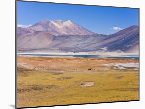 Altiplano, Los Flamencos National Reserve, Atacama Desert, Norte Grande, Chile-Gavin Hellier-Mounted Photographic Print