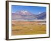 Altiplano, Los Flamencos National Reserve, Atacama Desert, Norte Grande, Chile-Gavin Hellier-Framed Photographic Print