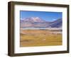 Altiplano, Los Flamencos National Reserve, Atacama Desert, Norte Grande, Chile-Gavin Hellier-Framed Photographic Print