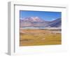 Altiplano, Los Flamencos National Reserve, Atacama Desert, Norte Grande, Chile-Gavin Hellier-Framed Photographic Print