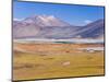 Altiplano, Los Flamencos National Reserve, Atacama Desert, Norte Grande, Chile-Gavin Hellier-Mounted Photographic Print
