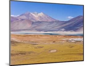 Altiplano, Los Flamencos National Reserve, Atacama Desert, Norte Grande, Chile-Gavin Hellier-Mounted Photographic Print