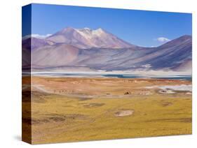 Altiplano, Los Flamencos National Reserve, Atacama Desert, Norte Grande, Chile-Gavin Hellier-Stretched Canvas