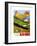 Alto Adige-null-Framed Premium Giclee Print