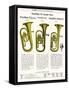 Alto Horn (Wurlitzer)-null-Framed Stretched Canvas