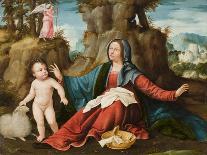 The Vision of the Virgin Mary, C.1518-20-Altobello Melone-Stretched Canvas