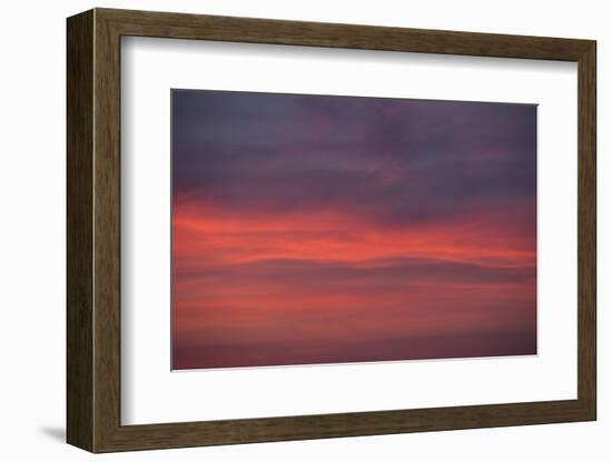 Altocumulus and Cirrus Clouds in the Evening Light-Greg Probst-Framed Photographic Print