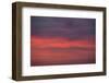 Altocumulus and Cirrus Clouds in the Evening Light-Greg Probst-Framed Photographic Print