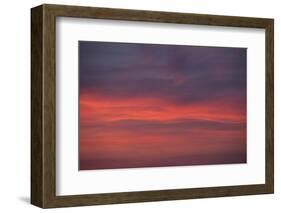 Altocumulus and Cirrus Clouds in the Evening Light-Greg Probst-Framed Photographic Print