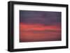 Altocumulus and Cirrus Clouds in the Evening Light-Greg Probst-Framed Photographic Print