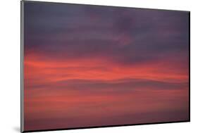 Altocumulus and Cirrus Clouds in the Evening Light-Greg Probst-Mounted Photographic Print
