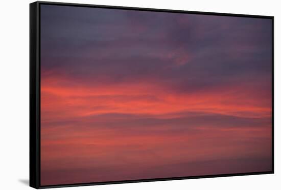 Altocumulus and Cirrus Clouds in the Evening Light-Greg Probst-Framed Stretched Canvas