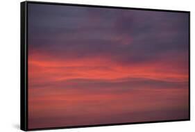 Altocumulus and Cirrus Clouds in the Evening Light-Greg Probst-Framed Stretched Canvas