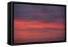 Altocumulus and Cirrus Clouds in the Evening Light-Greg Probst-Framed Stretched Canvas