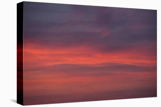 Altocumulus and Cirrus Clouds in the Evening Light-Greg Probst-Stretched Canvas