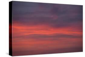 Altocumulus and Cirrus Clouds in the Evening Light-Greg Probst-Stretched Canvas