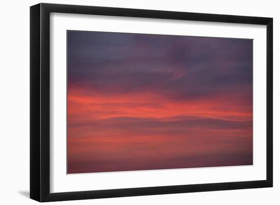 Altocumulus and Cirrus Clouds in the Evening Light-Greg Probst-Framed Photographic Print