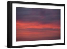 Altocumulus and Cirrus Clouds in the Evening Light-Greg Probst-Framed Photographic Print