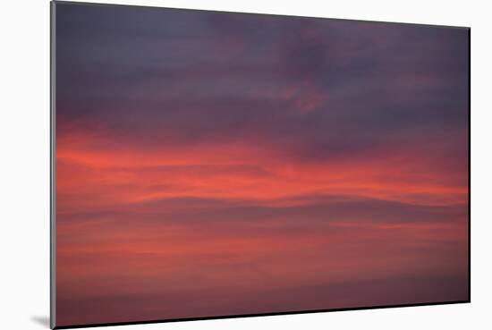 Altocumulus and Cirrus Clouds in the Evening Light-Greg Probst-Mounted Photographic Print