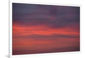 Altocumulus and Cirrus Clouds in the Evening Light-Greg Probst-Framed Photographic Print