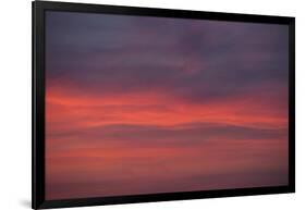 Altocumulus and Cirrus Clouds in the Evening Light-Greg Probst-Framed Photographic Print