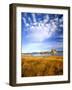 Altocumulus Clouds above Rushes and Tufa on Shore of Mono Lake, California, USA-Scott T. Smith-Framed Photographic Print