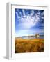 Altocumulus Clouds above Rushes and Tufa on Shore of Mono Lake, California, USA-Scott T. Smith-Framed Photographic Print