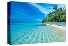 Stretched Canvas