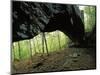 Alum Cove Natural Bridge, Ozark-St Francis National Forest, Arkansas, USA-Charles Gurche-Mounted Photographic Print