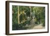 Alum Rock Park Picnic Grounds Vista View - San Jose, CA-Lantern Press-Framed Art Print