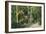 Alum Rock Park Picnic Grounds Vista View - San Jose, CA-Lantern Press-Framed Art Print